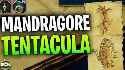 Comment Avoir Des Mandragore Et Des Tentacula V N Neuse Hogwarts Legacy