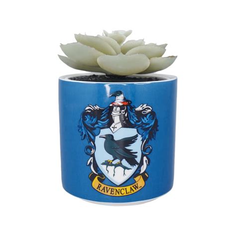 Harry Potter Ravenclaw Faux Plant Pot Cm Shopforgeek