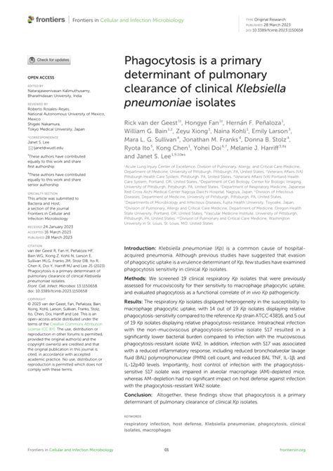 Pdf Phagocytosis Is A Primary Determinant Of Pulmonary Clearance Of