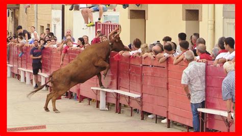 Cadreita Navarra Tarde Vacas En Calle Viernes Julio