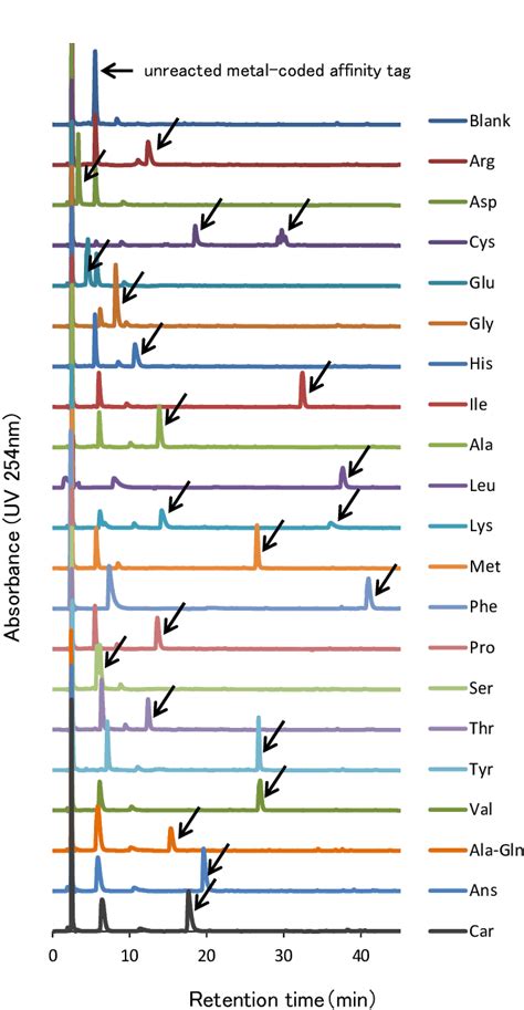 The Chromatograms Of Amino Acids And Dipeptides Download Scientific Diagram