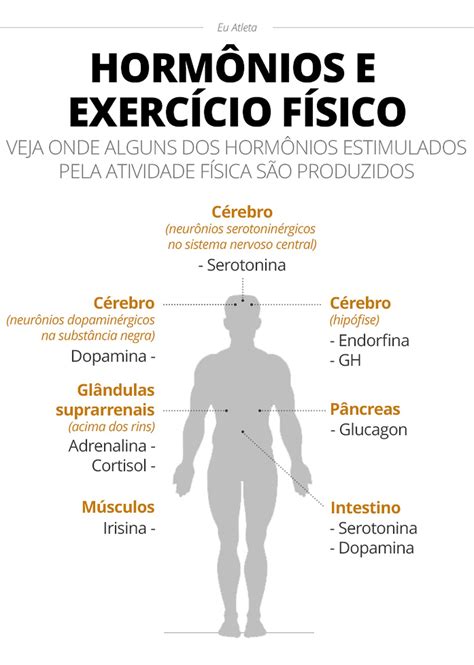 O Que Acontece No Corpo Quando Fazemos Exerc Cio F Sico Sa De Ge