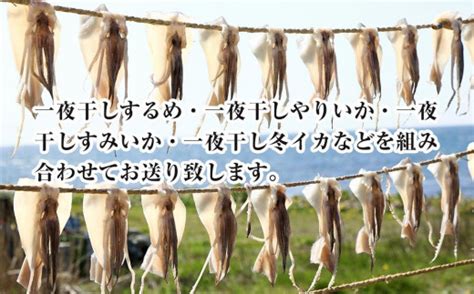 佐渡産 一夜干しいか1袋2枚×2 新潟県佐渡市 セゾンのふるさと納税