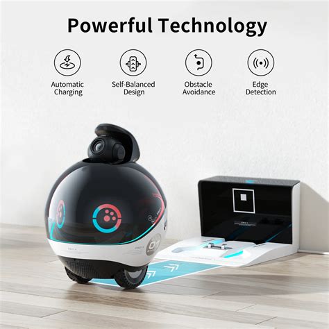 Robot Companion Companion Robots Featured At Shanghai Electronics Show