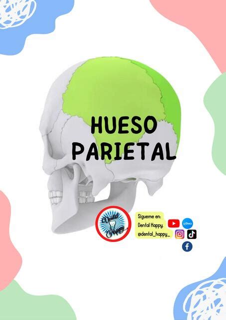 Hueso Parietal Alan Díaz uDocz