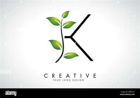 Leaf Letter K Logo Design With Green Leaves On A Branch Letter K With