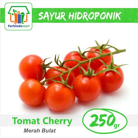 Jual Tomat Cherry Hidroponik Surabaya Sidoarjo Only Shopee Indonesia