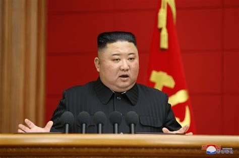 金正恩下令「见鸽即杀」 忧中国飞来鸽子有武肺病毒 R 4832