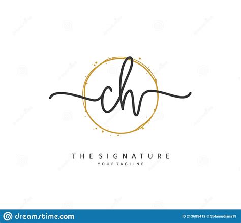 Letra Inicial Y Logotipo De La Firma Un Logotipo Inicial De Escritura