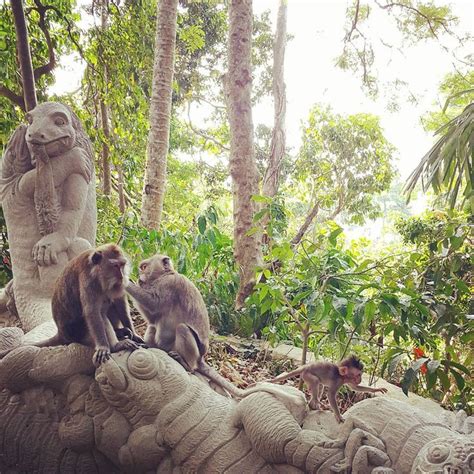 A Floresta Sagrada Dos Macacos Em Ubud Bali Um Dos Poucos Lugares