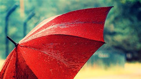 Rain Umbrella - Wallpaper, High Definition, High Quality, Widescreen