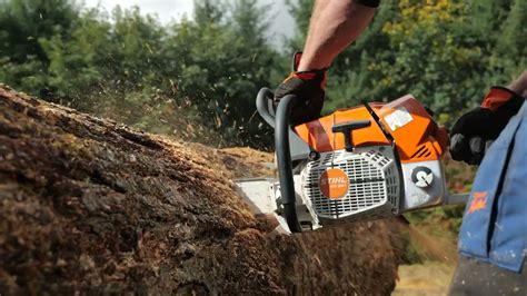 Obrigado Educado Conselheiro Motosserra Stihl Pre O Pense Frente