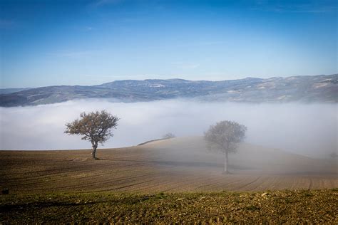 Mentre Sale La Nebbia Dal Fiume Luigi Tusino Flickr