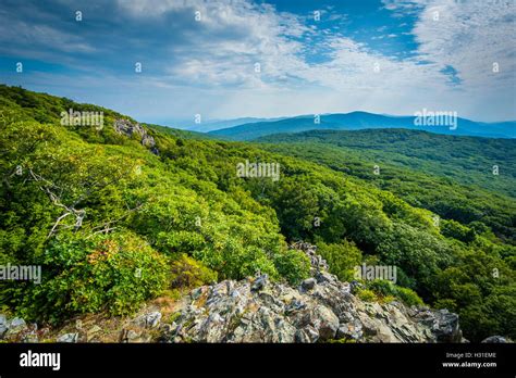 View Of The Shenandoah Valley And Blue Ridge From Stony Man Mountain