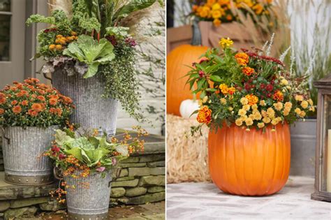 35 Fall Container Gardening Ideas For 2024 Photos And Tips