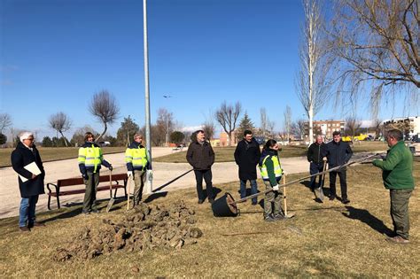 El Ayuntamiento Replanta M S De Medio Millar De Rboles En Viales Y