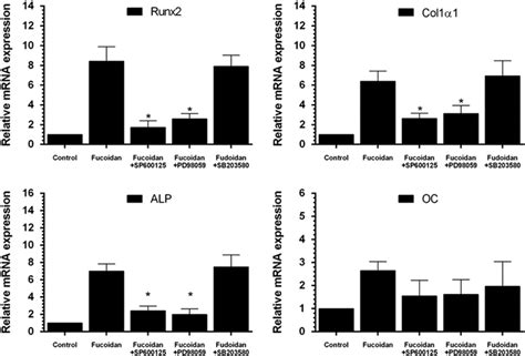 Expression Of Osteogenic Differentiation Marker Genes After Treatment