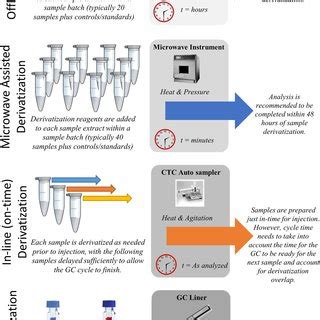 Overview Of Common Derivatization Protocols Used In Gcms Based