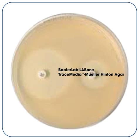 Tracemedia Mueller Hinton Agar Bacterlab