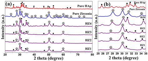 Applied Sciences Free Full Text Synthesis Of Hydroxyapatite HAp