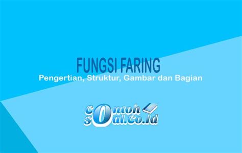 Fungsi Faring - Pengertian, Struktur, Gambar dan Bagian