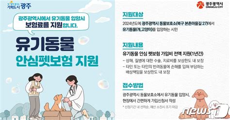 광주시 유기동물 입양·등록하면 1년간 보험비 지원