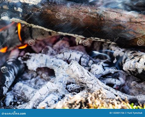 Smoldering Ashes Of Bonfire Extreme Close Up Stock Photo Image Of