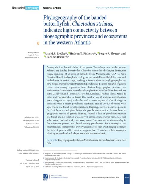 PDF Phylogeography Of The Banded Butterflyfish Chaetodon Striatus