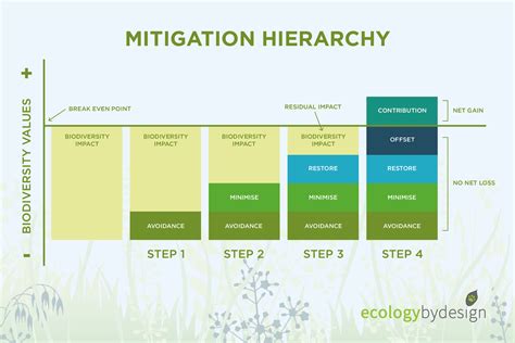 Biodiversity Mitigation Hierarchy Explained Ecology By Design