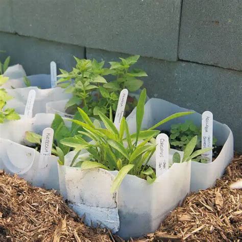 Clever DIY Milk Jug Projects To Use In Your Garden