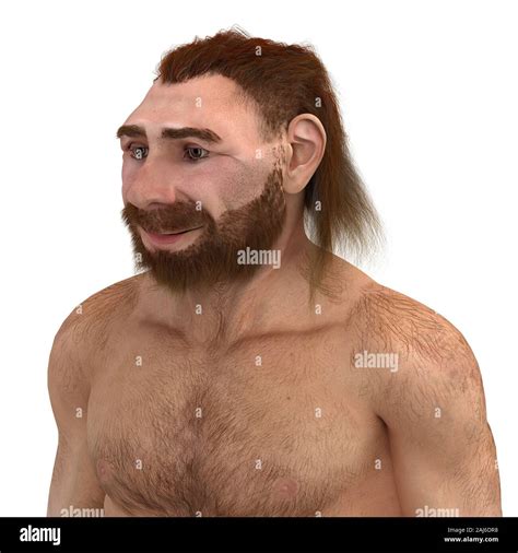 Neandertal Human Face Hi Res Stock Photography And Images Alamy