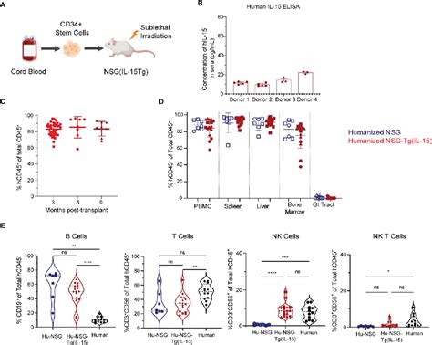 Figure 1 From Human Hematopoietic Stem Cell Engrafted Il 15 Transgenic