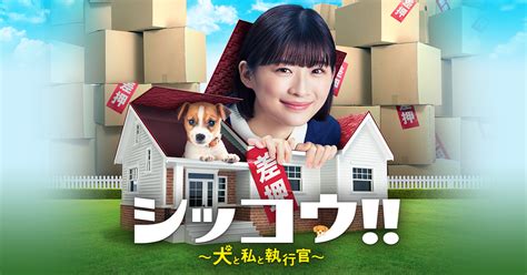 オリジナルサウンドトラックが発売決定ニュースシッコウ 犬と私と執行官テレビ朝日