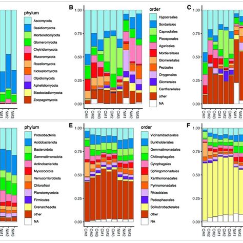 Alpha Diversity Relative Abundance Of Major Taxonomic Groups For Fungi