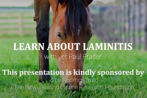 Learn about Laminitis - The Breeders