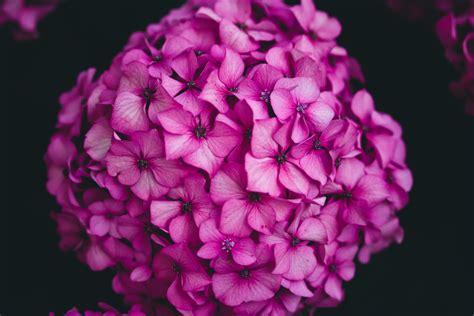 Bunching Your Deductions Can Provide Big Tax Benefits - Cobb