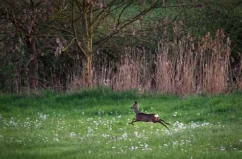 Blaulicht Aus Der Region Stuttgart Bietigheim Bissingen Einbrecher