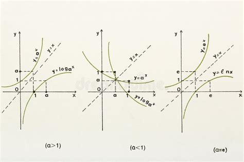 Secuencia De Fibonacci Espiral De Oro Ilustración del Vector