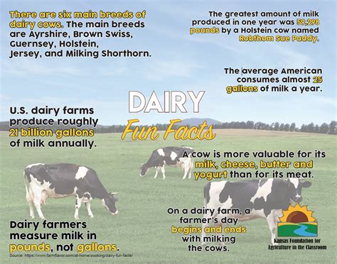 Dairy Fun Facts Poster Kansas Agriculture In The Classroom