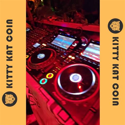 More parties with #KittyKatCoin 😎 - Kitty Kat Coin - Medium