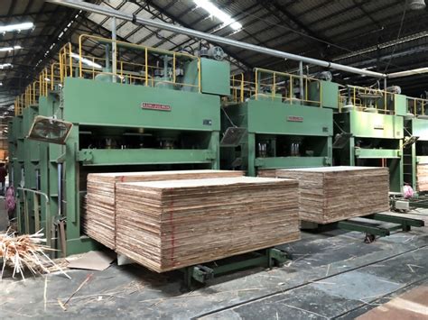 Taiwan Plywood Cold Press Manufacturer Cold Press Supplier King Jui Wen