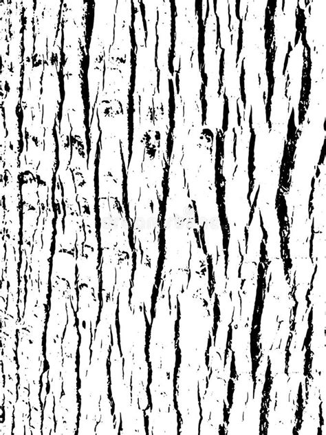 Tree Bark Texture Wooden Background For Graphic Design Stock Vector