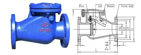 Swing Flanged Check Valve Cast Iron H T Farpro Valve