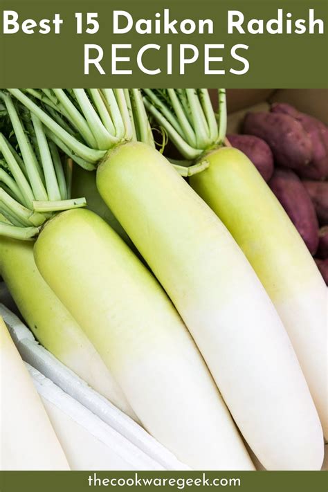 The Best Daikon Radish Dishes The Cookware Geek