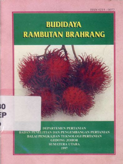 Budidaya Rambutan Brahrang