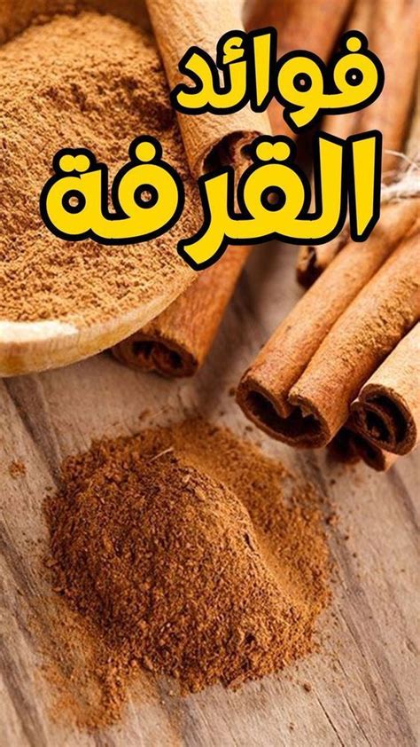 فوائدالقرفة وأنواعها والآثار الجانبية، القرفة شجرة ذات حياة طويلة