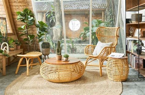 Everything You Need To Know About FEH S Water Hyacinth Baskets