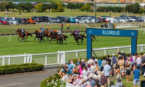 Ellerslie Auckland Thoroughbred Racing