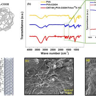 Of Thermoelectric Performances Of Swcnt Pva Composite Films A The