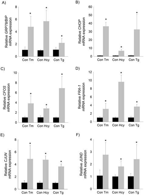 Relative Mrna Expression Of A Grp Bip B Chop C Cfos D Fra